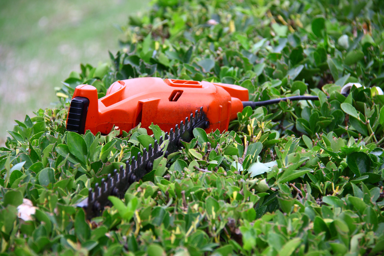 pruning tool on green shrub